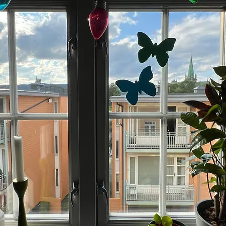 Apartamento Rustic In Bakklandet