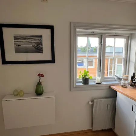 Apartamento Rustic In Bakklandet